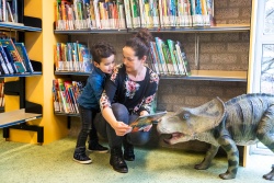 bibliotheek boxtel