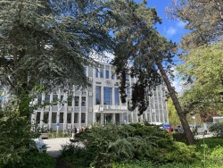 Huis-van-de-stad-Rijswijk.jpeg
