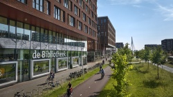 Kanaleneiland_afbeelding_vestigingen_384-288.png
