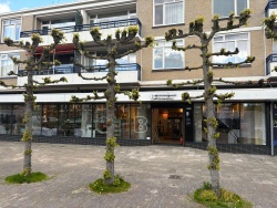 Mariahoeve tijdelijk