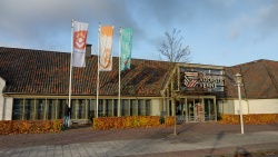 vlag dvv.jpg