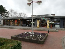 Zidewinde klein.jpg